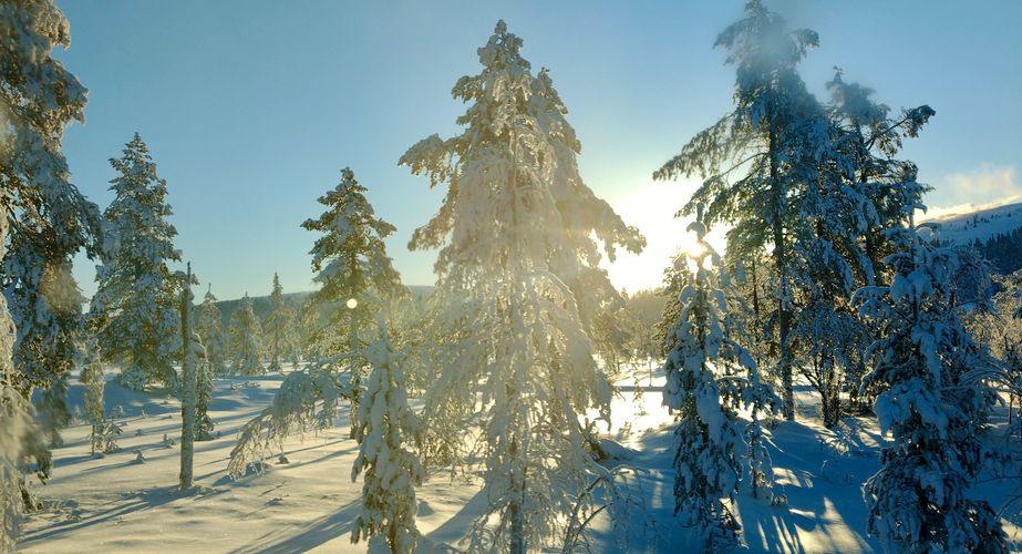 Zonsondergang in de Zweedse natuur Zonsondergang in de Zweedse natuur
